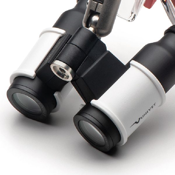 AirX – Image 3