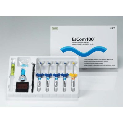 ESCOM 100