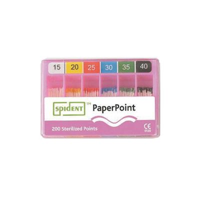 SPIDENT / Pointes en Papier