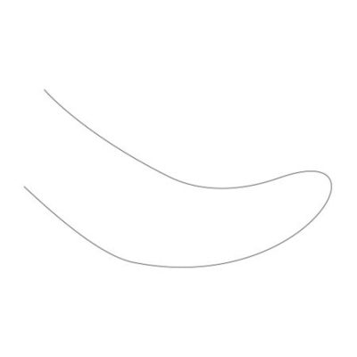 AMERICAN ORTHODONTICS / Arc courbe de Spee en niti